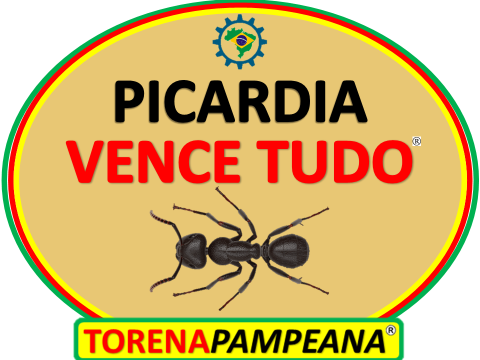 MARCAS PAMPEANA E PICARDIA VENCE TUDO EM UBERABA MG